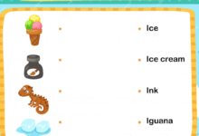 Finish Each Sentence Using the Vocabulary Word Provided