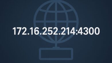 172.16.252.214.4300