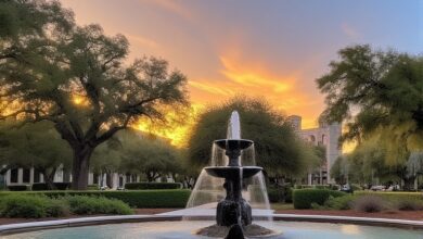 everglades university