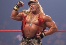 hulk hogan net worth