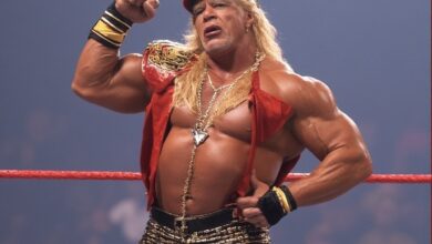 hulk hogan net worth